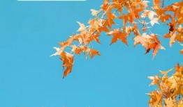 潜规则全书阅读 今日早报每日热点15条新闻简报,今日早报热点新闻15条深度剖析