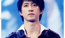 朝阳黑料,揭开真相背后的迷雾